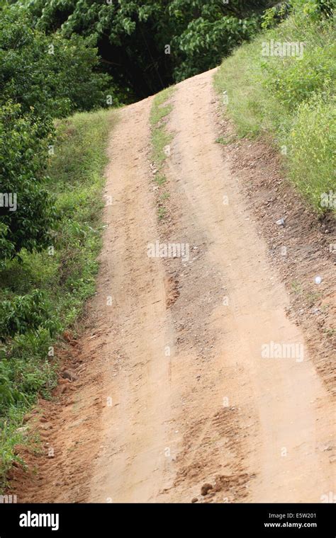 Road for a trip to the forest in adventure Stock Photo - Alamy