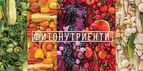 Фитонутриенти – здраве в цвят - Здравей