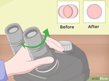 microscope  pictures wikihow