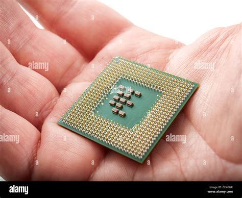 closeup view   computer processor   palm stock photo alamy