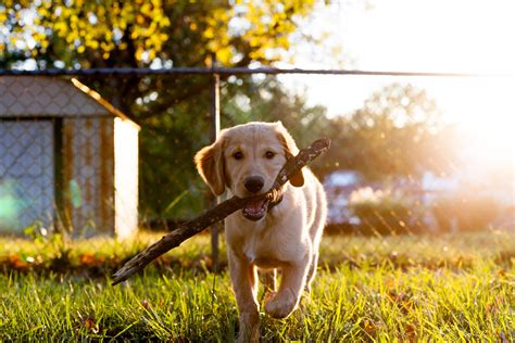 Talk Softly But Carry A Big Stick 1