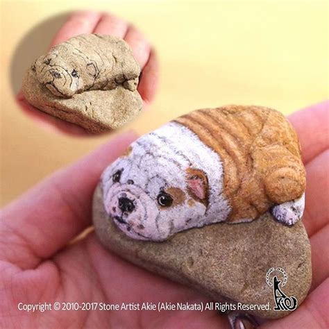 This artist uses rocks to paint realistic animal portraits that look ...