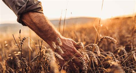 home central waters brewing