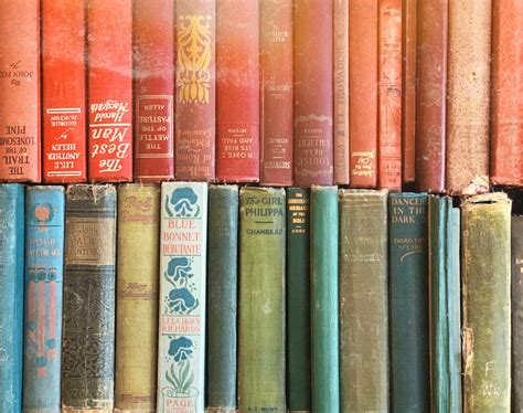 set   vintage decorative books  color  bookshelf etsy