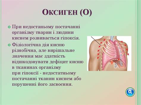 Органогенні елементи. Хімія в організмах - презентация онлайн