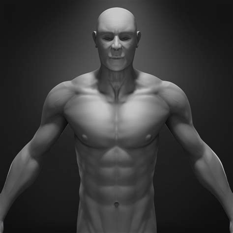 Anatomy For 3d Artists The Essentialfor Cg Professionals 3