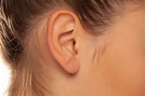 Why we should listen to our ears