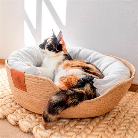 Wicker Cat Bed (3 Pieces) – Friends of Normie