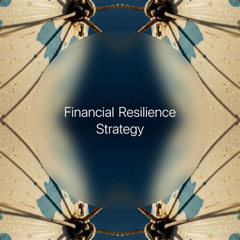 Financial Resilience Strategy → Term