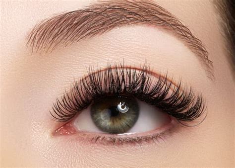long eyelashes stock   royalty  stock