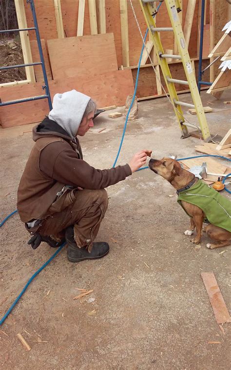 domace domace added   photo