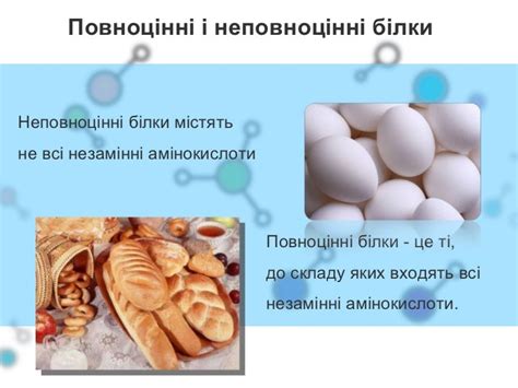 Білки