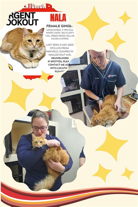 PET STARS – Bakenkop Animal Clinic Inc
