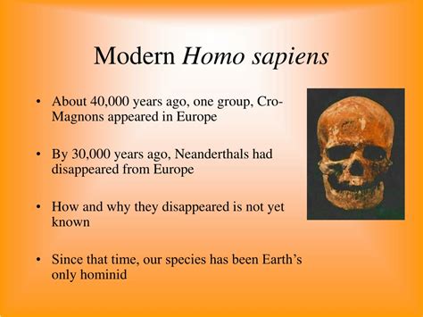 mammals powerpoint    id