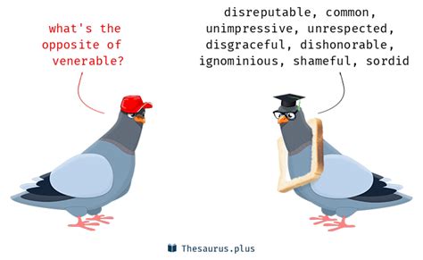 venerable antonyms full list   words  venerable