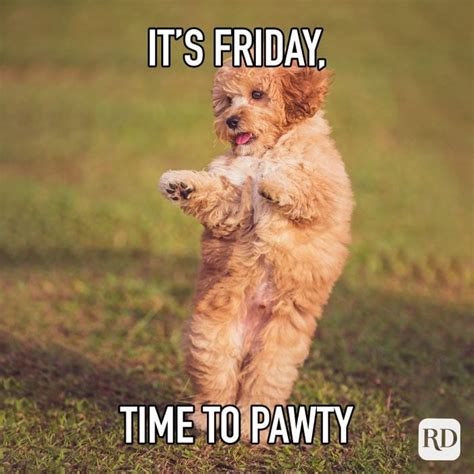 45 Funny Friday Memes That Will Make You Say TGIF