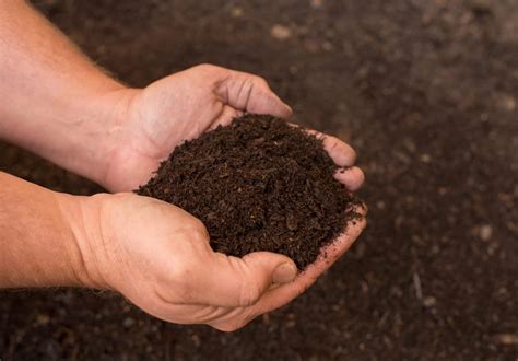 Organic Compost in Lebanon, PA - Zimmerman Mulch