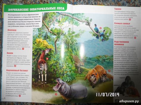 Книга: Детский атлас животных - Мариуш Любка. Купить книгу, читать ...