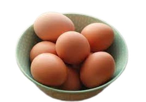 Oval Shaped Protein Enriched Brown Fresh Country Eggs Egg Origin ...