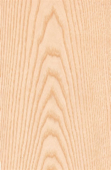 white ash wood veneer