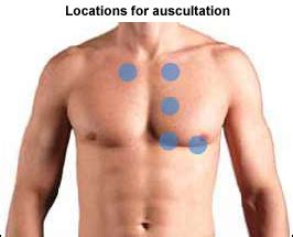 place  stethoscope  heart sounds