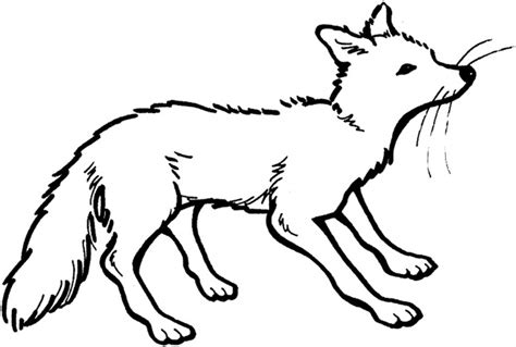 Fox Drawing Outline at GetDrawings | Free download