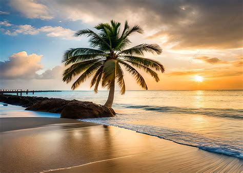 Hermoso Océano Playa Atardecer Palmera Naturaleza Fondo Fondos De ...