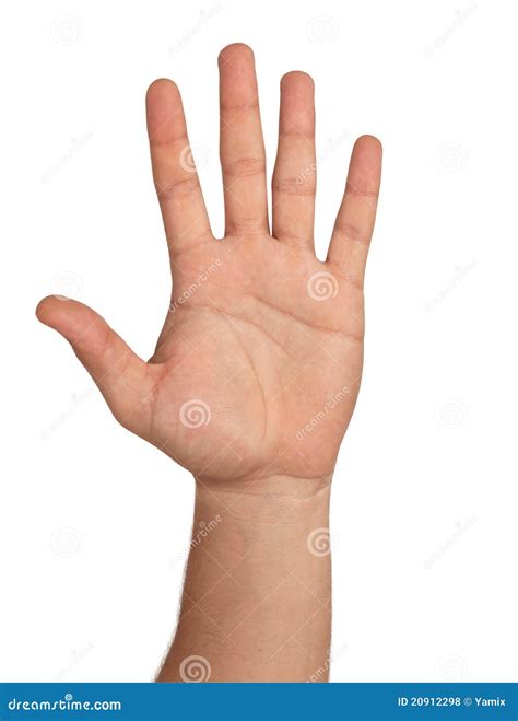 open photo open photo 10