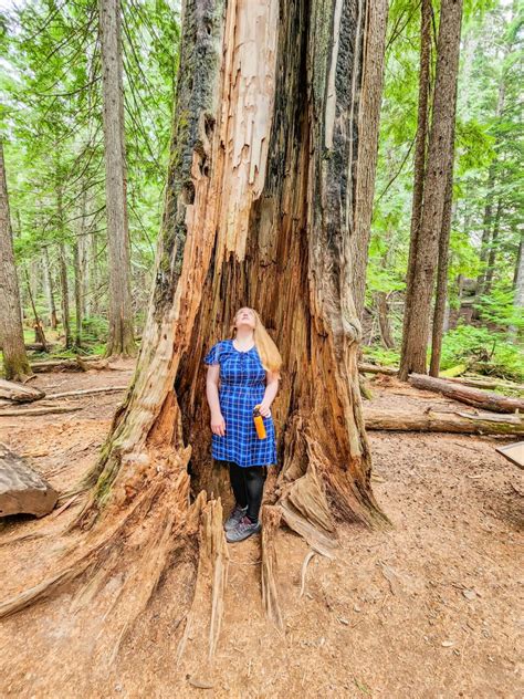 Northwest Montana: 5 Can't-Miss Experiences for One of the Best Places