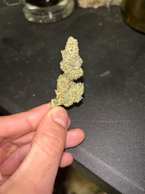 The final nug from my first grow, finished curing in January 2023. : r