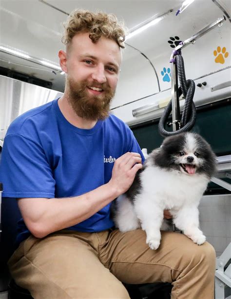 Melrose Pet Grooming at FurTown Pet Spa in the Fairfax District