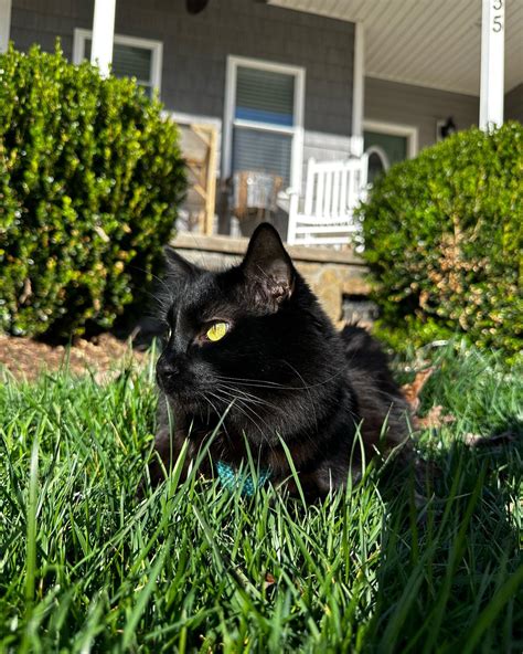 Megan Summers (@megansummersss) • Instagram photos and videos