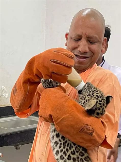 Yogi Adityanath feeds leopard cubs at Gorakhpur zoo | Times of India