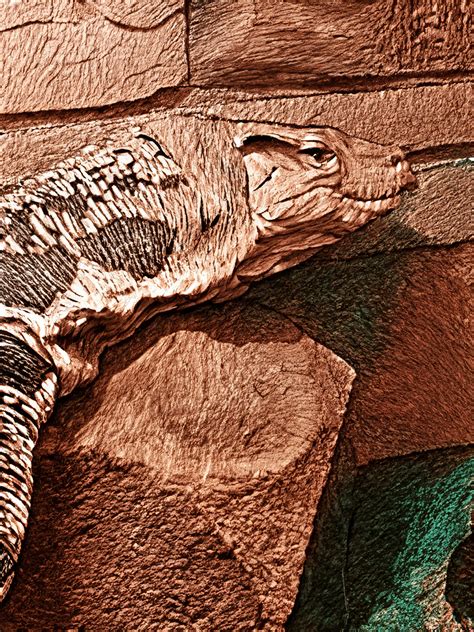 komodo dragon behavioral adaptations 1