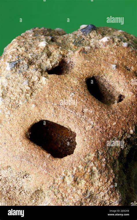 close  natural stone texture  green background stock photo alamy