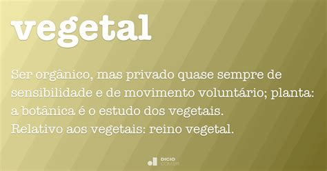 O Que Significa Vegetal - Vegetal - Dicio, Dicionário Online de Português