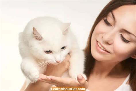 Mysterious Cat Breathing Sounds: What Could It Mean? - Hunter Games Magazine