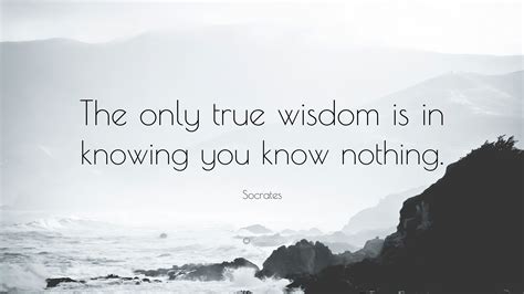 Socrates Quote: “The only true wisdom is in knowing you know nothing.”