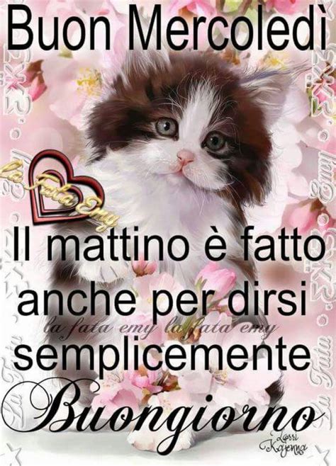 Buon mercoledì