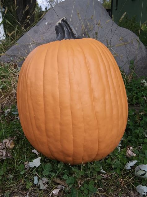 Artificial Pumpkins 14 inch Tall 35 inch round. » Petagadget