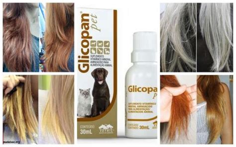 Glicopan Pet Para O Cabelo - Como Usar Glicopan Pet no Cabelo – Resenha e Guia COMPLETO!