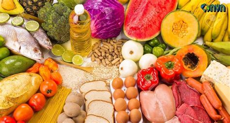 vital  maintain nutritional levels   body