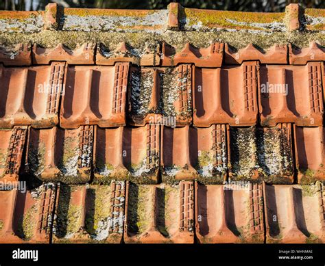 side view structure  res stock photography  images alamy