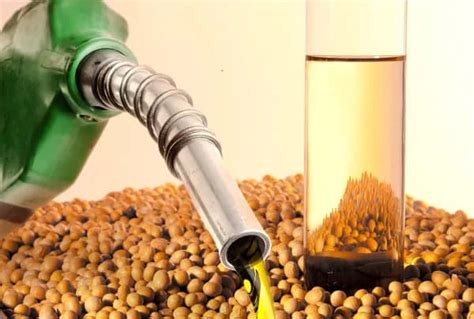 Biodiesel É Feito De Que - O que é Biodiesel?