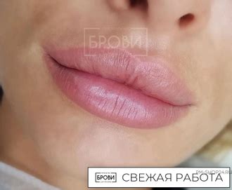 Пигменты для татуажа губ Анны Куцеволовой — Пыльная Роза. Хит продаж ...
