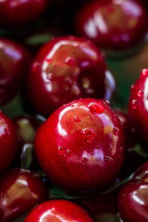 Download Luscious Cranberry Close-up Photo Wallpaper | Wallpapers.com