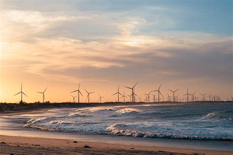 How the ocean can help us solve the climate crisis | World Economic Forum