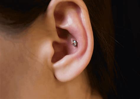 ultimate guide    conch piercing