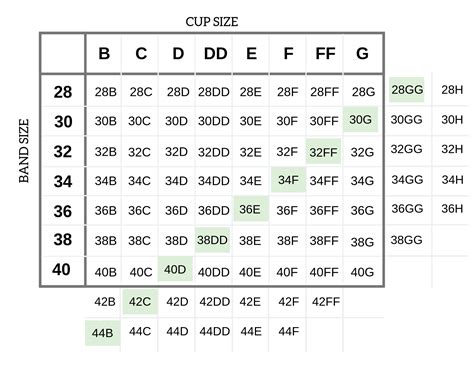 How Big Is 36DD? Your Ultimate Guide To Understanding Bra Sizes