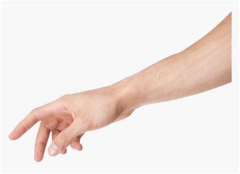 arm png clipart transparent arm png png  kindpng